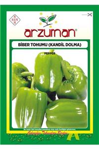 GüçlüTedarik Kandil Dolma Biber Tohumu 1200 Adet Tohum 10 Gram