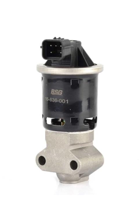 BSG Chevrolet Kalos Aveo Spark Egr Valfi 2004 Ve Üstü Yıllar