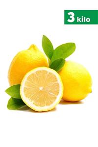 TROPİK SEPETİ Antalya Limonu - 3 Kg