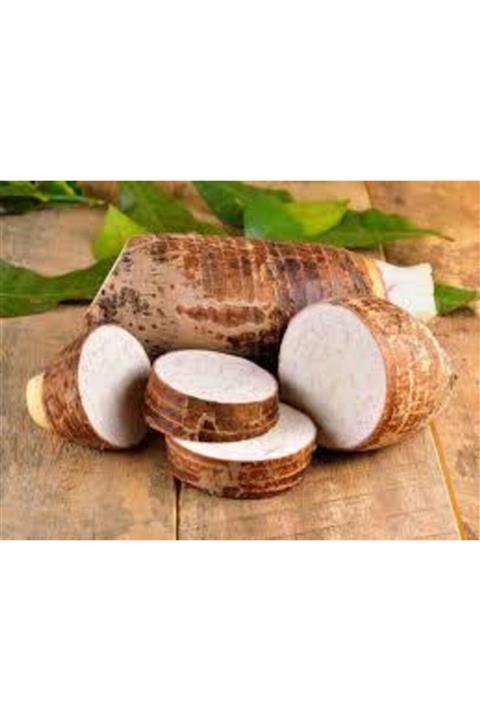tropikya Kolokas, Colacasia Esculenta, Gölevez(1kg) Taro, Cocoyam
