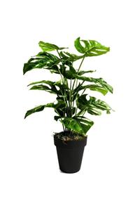 Nettenevime Yapay Ağaç Salon Bitkisi Monstera 70 Cm 18 Yaprak Antrasit Saksıda