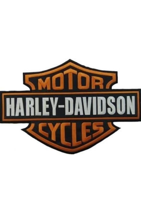 Sim Nakış Harley Davidson Motor Nakış Işleme Arma Patch Peç 16.5×25 Cm