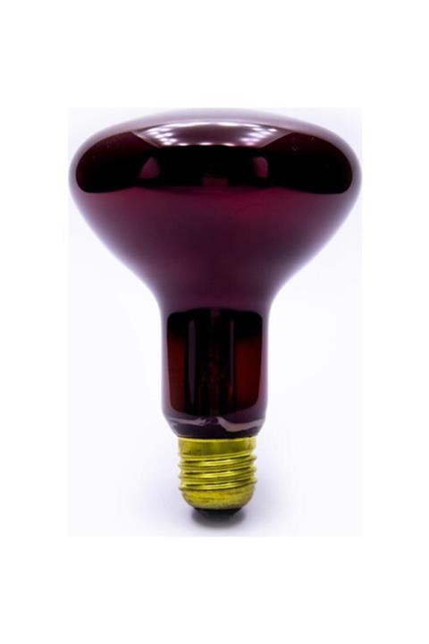 General Elektric General Electric Tungsram 100 Watt Infrared Isıtıcı Ampul Lamba