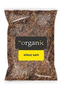 BY ORGANİK Kiraz Sapı 100 gr