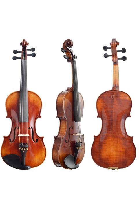 Dominguez Profesyonel Keman 4/4 (DVPG44-P1)