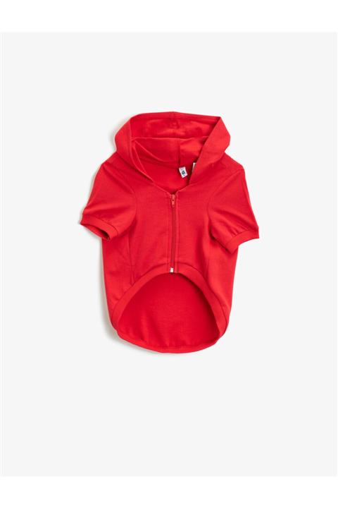Koton Kırmızı Kapüsonlu Köpek Sweatshirt