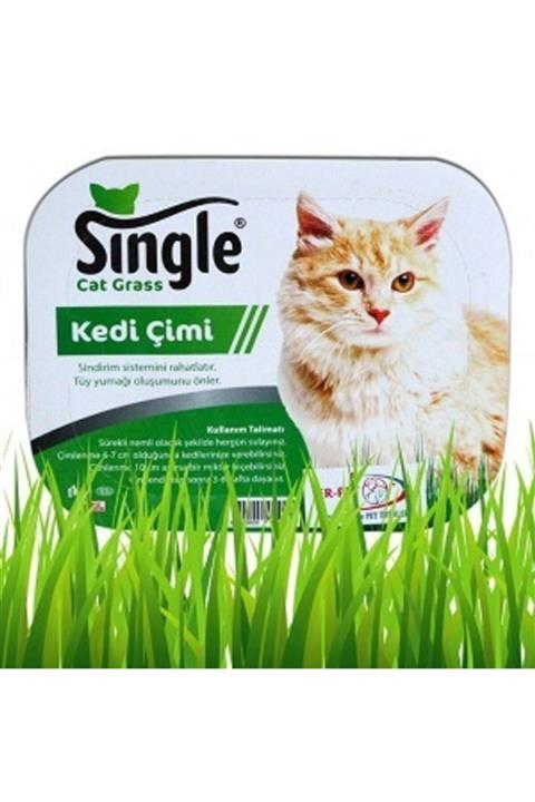 SINGLE Natural Doğal Kedi Çimi