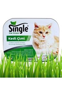 SINGLE Natural Doğal Kedi Çimi