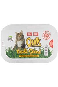 Quik Gerçek Topraklı Kedi Çimi