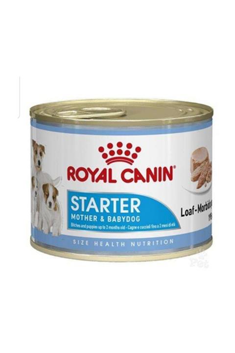Royal Canin Starter Mousse Yavru Köpek Konserve 195 gr