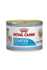 Royal Canin Starter Mousse Yavru Köpek Konserve 195 gr