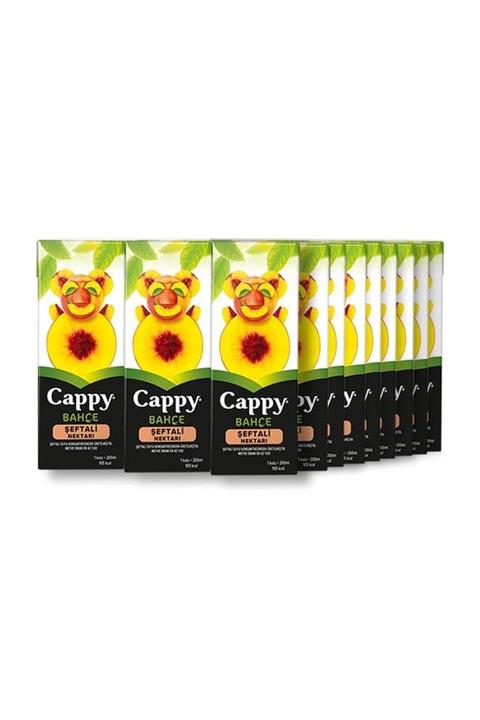 Burn Cappy Şeftali Nektar Tetra 200 Ml (27 Adet)