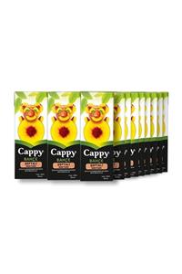 Burn Cappy Şeftali Nektar Tetra 200 Ml (27 Adet)