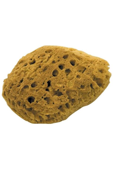 Dekor Doğal Deniz Süngeri Büyük