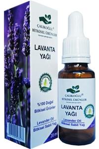 Çalıkoğlu Bitkisel Ürünler Lavanta Yağı Uçucu 20 Ml