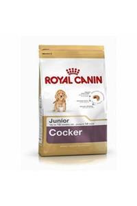 Royal Canin Cocker Junior Yavru Köpek Maması 3 kg