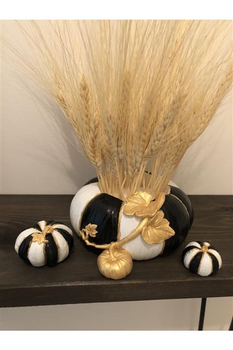 BAŞAK DEKORATİF Yavrulu Kabak Saksı & Kabak Objeler