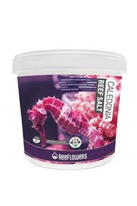 ReeFlowers Caledonia Reef Salt 6500gr