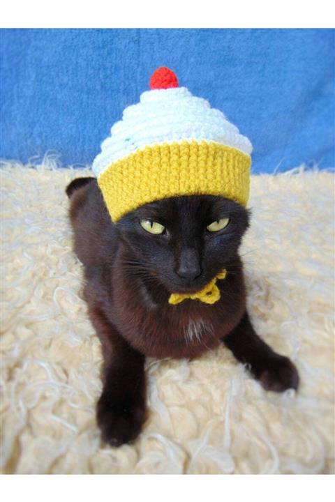 BurDen Dekoratif Ürünler & Tasarım Sevimli Cupcake Kafa , Kedi Şapkası & Aksesuar, Pet Fashion, Pet Shop, Tasarım El Yapımı
