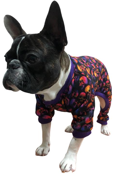 PETBUTİK8 0069pkpkh8 Kedi Köpek Kıyafeti