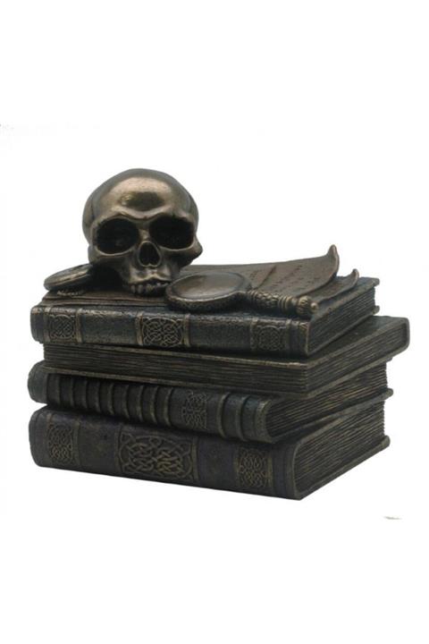 May Gift Shop Dekoratif Kuru Kafa Kutu