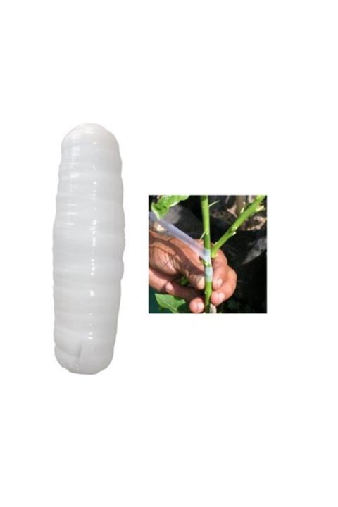 Pinax Aşı Bandı - Ağaç Ve Bitkiler Için