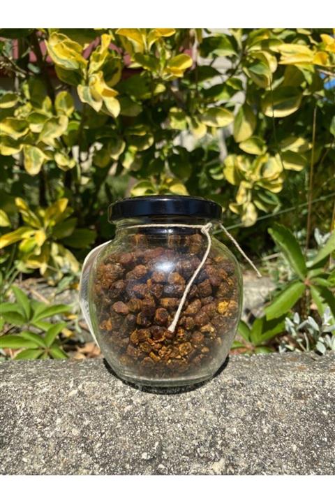 HİERAPİ Arı Ekmeği