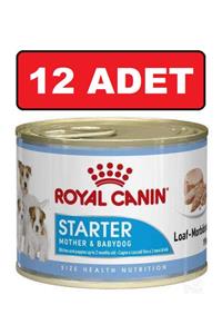 Royal Canin Starter Yavru Gebe Emziren Köpek Konservesi 12 Adet X 195gr