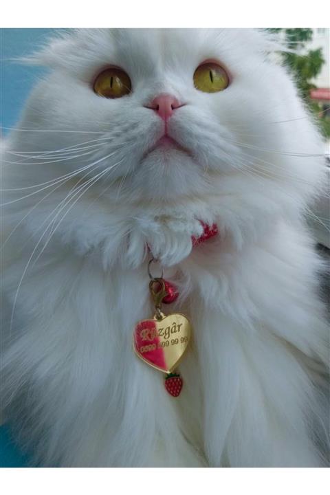 Sempati Store Kedi Isim Künyesi Isimlik (çilek Figürü - Gold Kalp )