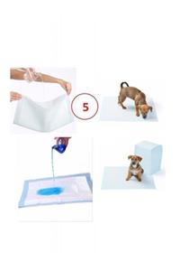 rennway Yıkanabilir Köpek Çiş Pedi - 100 X 70 Cm 5li Paket