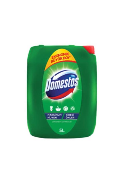 Domestos Dağ Esintisi 5 L