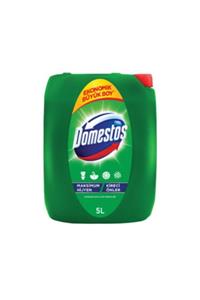 Domestos Dağ Esintisi 5 L