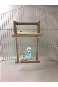 amazon bird Salıncaklı Kuş Platform