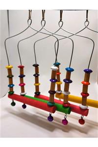 UniqBirdToys Uniq Bird Toys Renkli Kuş Salıncağı Zilli