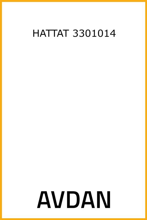 AAVDAN Direksiyon Pompası Logan Logan Mcv Megane