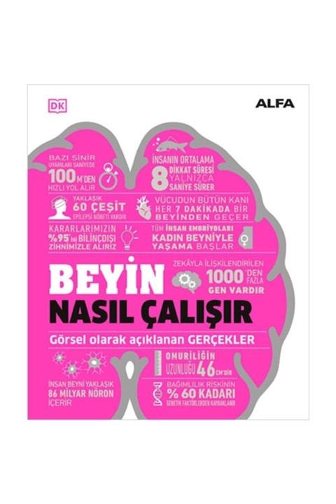 Alfa Yayınları Beyin Nasıl Çalışır (ciltli)
