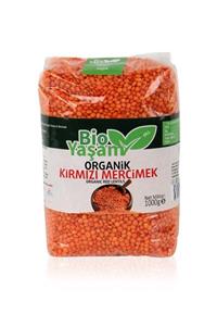 Bio Yaşam Organik Kırmızı Mercimek 1000 gr