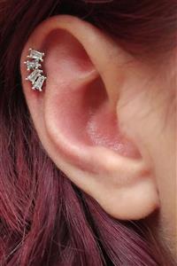 Salyangoz Company Cerrahi Çelik Taşlı 4'lü Baget Taş Figürlü Helix Tragus Piercing Tapıbgt02