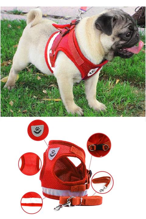 Silaypet Köpek Göğüs Gezdirme Tasması ( M Beden )