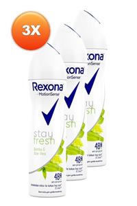 Rexona Stay Fresh Bambu Ve Aloe Vera Kadın Deodorant 150 Ml. Üçlü Paket