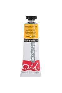 Daler Rowney Yağlıboya Graduate 38ml Cadmium Yellow Hue