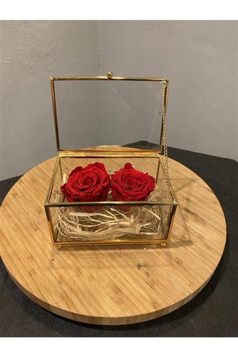 BİRSEN DİRLİK CONCEPT Cam Kutuda Şoklanmış Gül