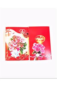 arda toys Işıklı Sesli Kartpostal 2li