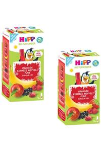 Hipp Organik Kırmızı Meyveli Püre Dondur Ye 5x30 ml 2 Adet