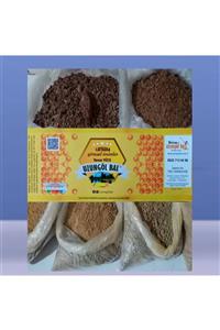 Uzungöl Bal Propolis Katı 100gr
