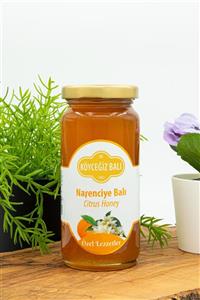 Köyceğiz Balı Narenciye Balı 330 G Cam Kavanoz