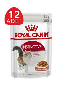 Royal Canin Instictive Gravy Kedi Konservesi 85 gr x 12 Adet