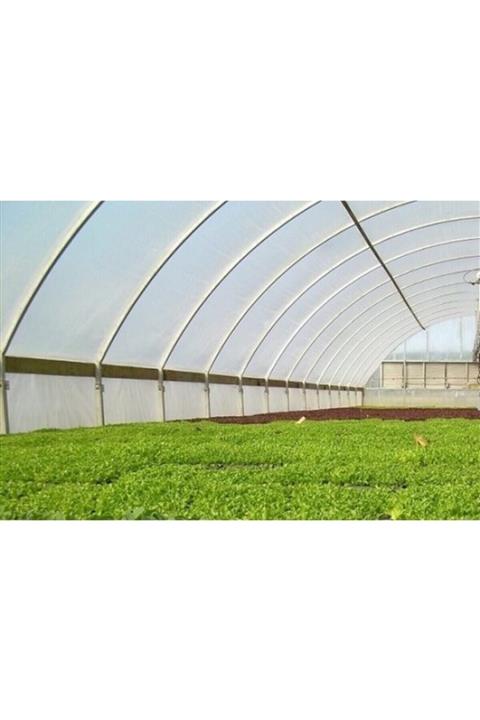 Msr 1.Kalite 36 Aylık 350 Mikron Sera Naylonu 12 mt x 26 mt