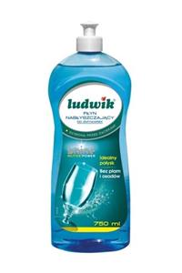 LUDWİK Bulaşık Makinesi Parlatıcısı 750ml