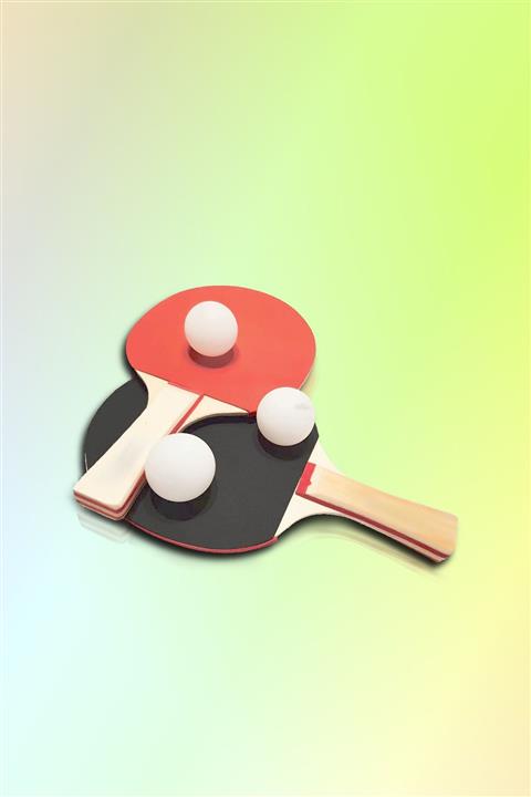 KDOT Masa Tenisi Pingpong Raketi 2 Adet Başlangıç Seviyesi